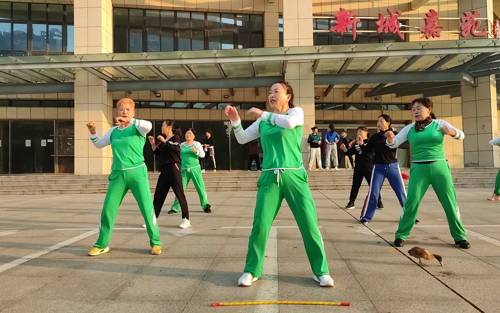 阿森纳力量中国唯一授权经销商—南通美道体育:美式专业力量器材领军品牌(图1)