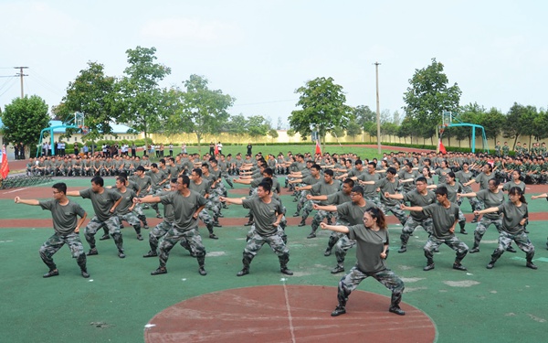济南市莱芜区人民政府(图1)