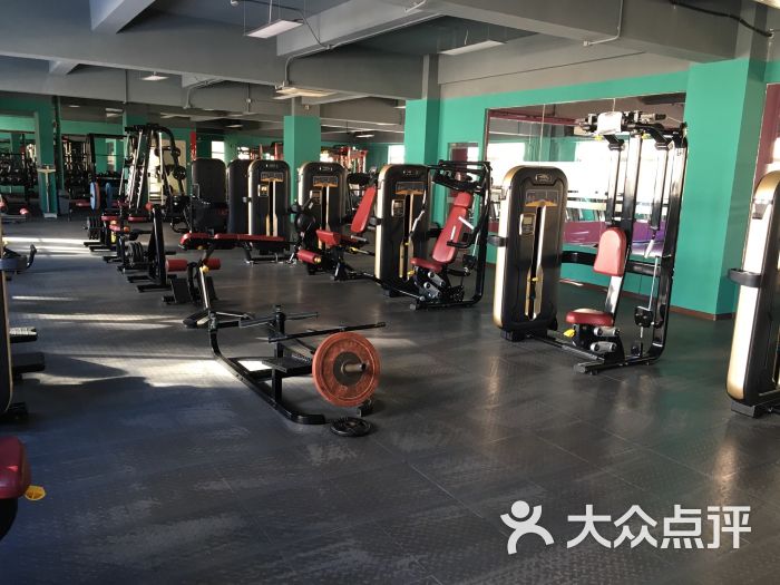 2026体育培训行业：从单一技能教学到全场景大众活力补给生态(图1)